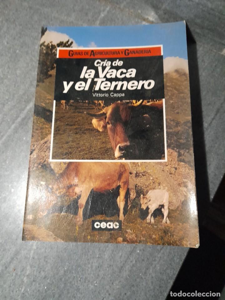 Libros de segunda mano: Libro ganader&iacute;a de la vaca y el ternero ceac - Foto 1