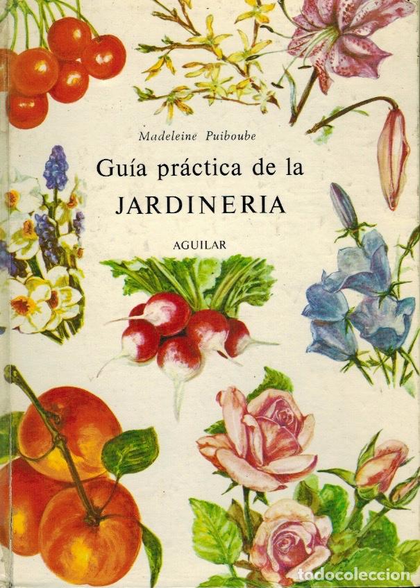 Libros de segunda mano: GU&Iacute;A PR&Aacute;CTICA DE LA JARDINER&Iacute;A - Foto 1