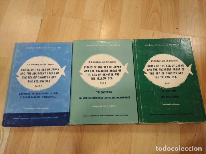 Libros de segunda mano: 'Fishes of the sea of Japan and the adjacent areas of the sea of Okhotsk and the yellow sea'. 3 vol.