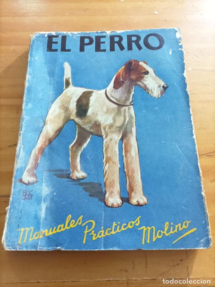 Gebrauchte B&uuml;cher: EL PERRO.MANUAL DEL AFICIONADO CONICULTOR,F.R.DELGLOS.MANUALES PRACTICOS MOLINOS.
