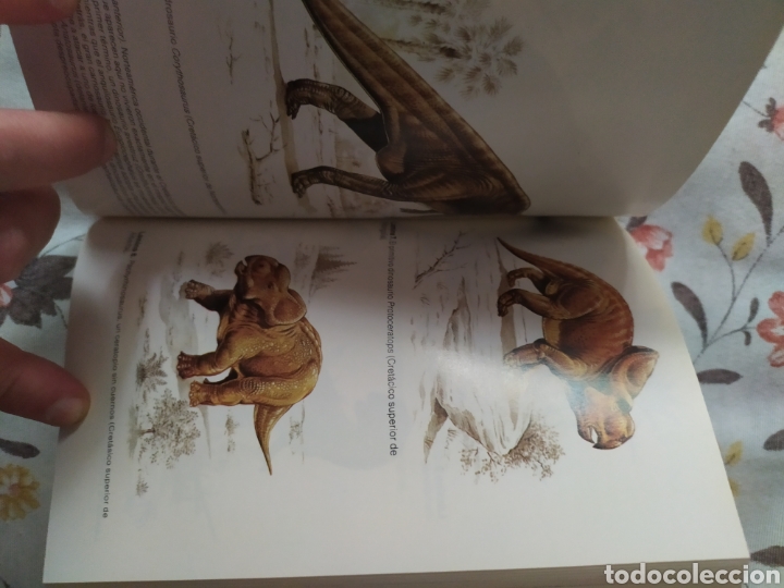 Libros de segunda mano: Alan Charig. La verdadera historia de los dinosaurios - Foto 3