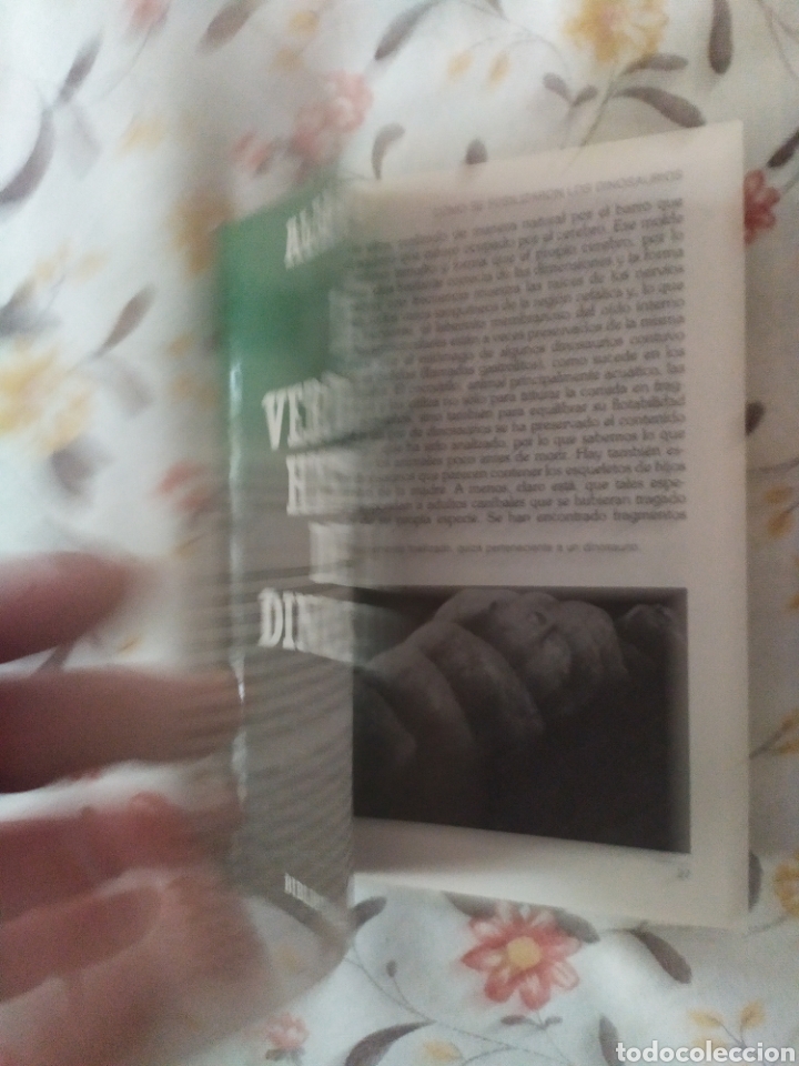 Libros de segunda mano: Alan Charig. La verdadera historia de los dinosaurios - Foto 4