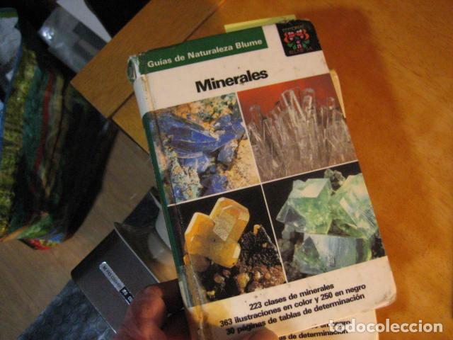 Second hand books: MINERALES - CORNELIA SUSSIECK / OLAF MEDENBACH - GUÍAS DE NATURALEZA BLUME 1983 - BUEN ESTADO