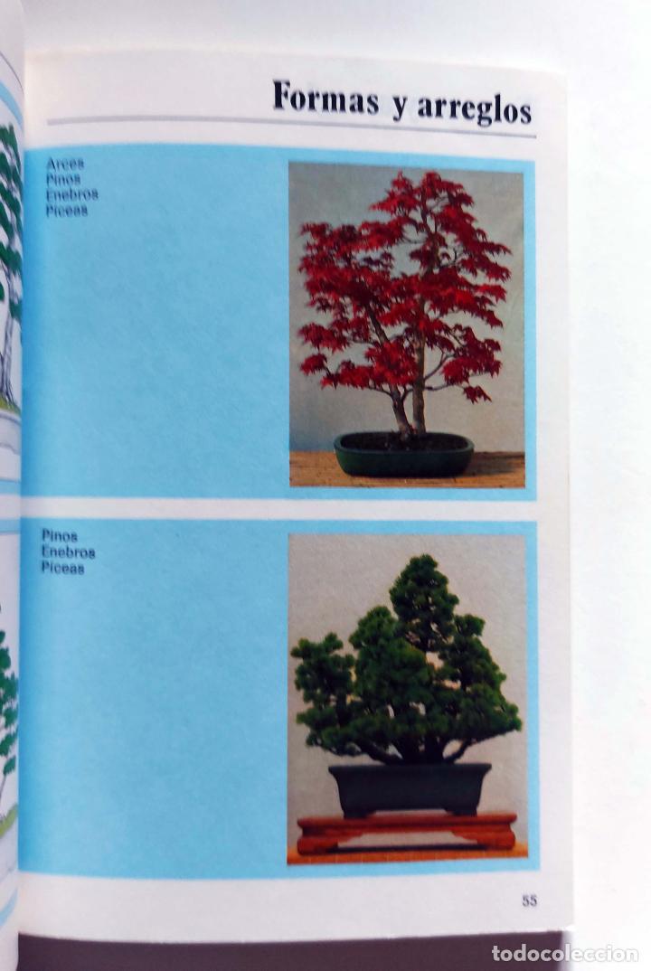Libros de segunda mano: Bonsai | Daute, Horst | Ediciones Omega, 1985 - Foto 5