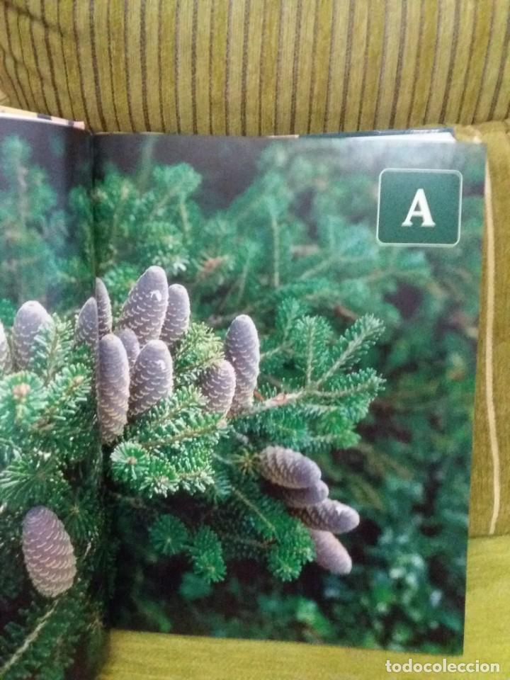 Libros de segunda mano: BOT&Aacute;NICA - Foto 8