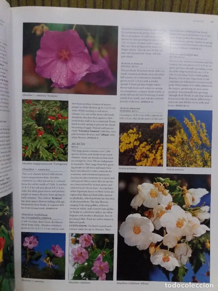 Libros de segunda mano: BOT&Aacute;NICA - Foto 9