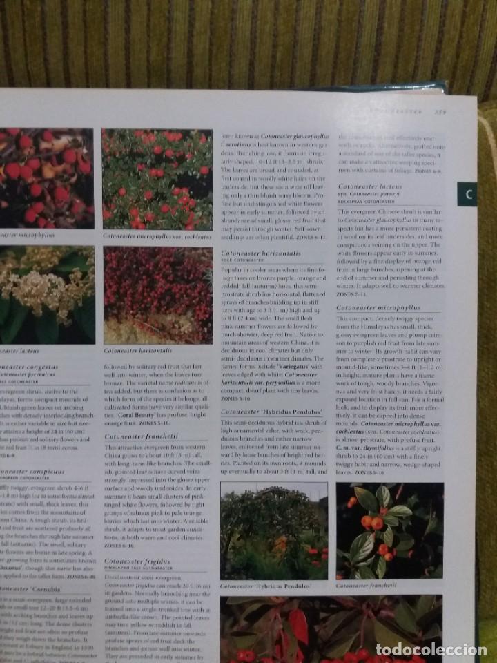 Libros de segunda mano: BOT&Aacute;NICA - Foto 10