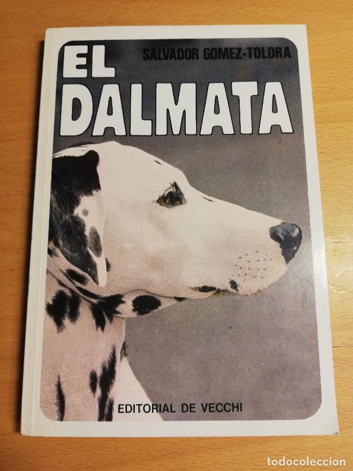 Libros de segunda mano: EL D&Aacute;LMATA (SALVADOR G&Oacute;MEZ TOLDRA) - Foto 1