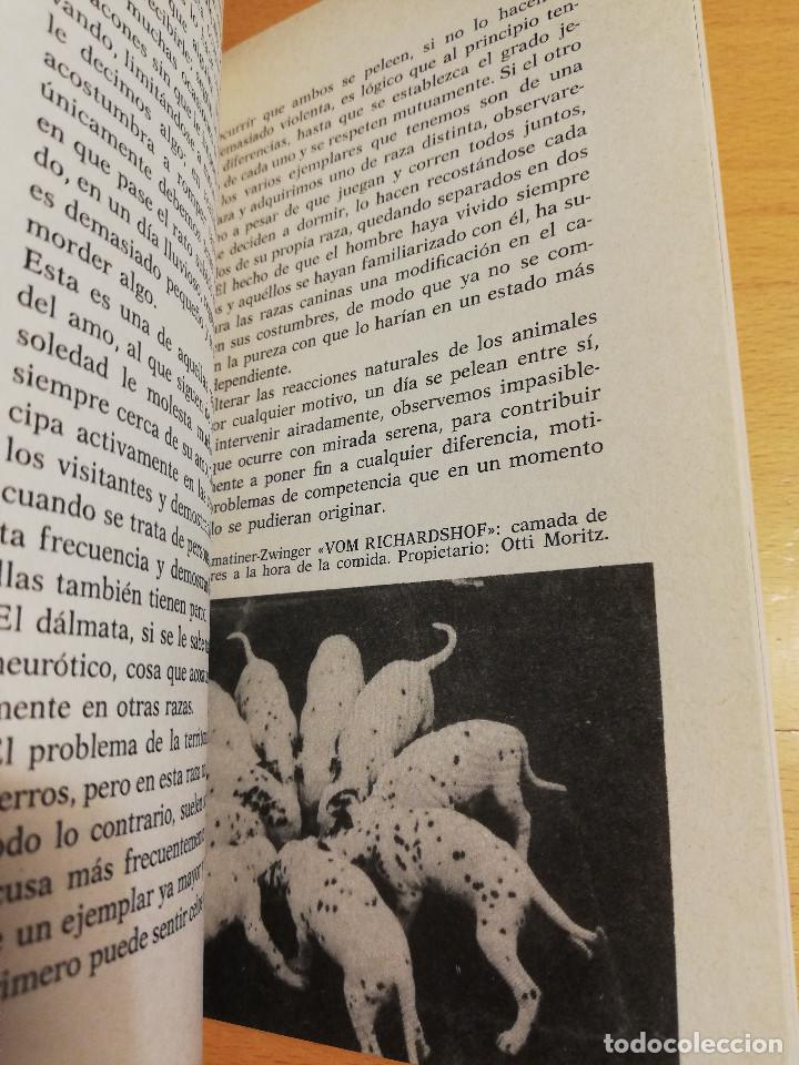 Libros de segunda mano: EL D&Aacute;LMATA (SALVADOR G&Oacute;MEZ TOLDRA) - Foto 5