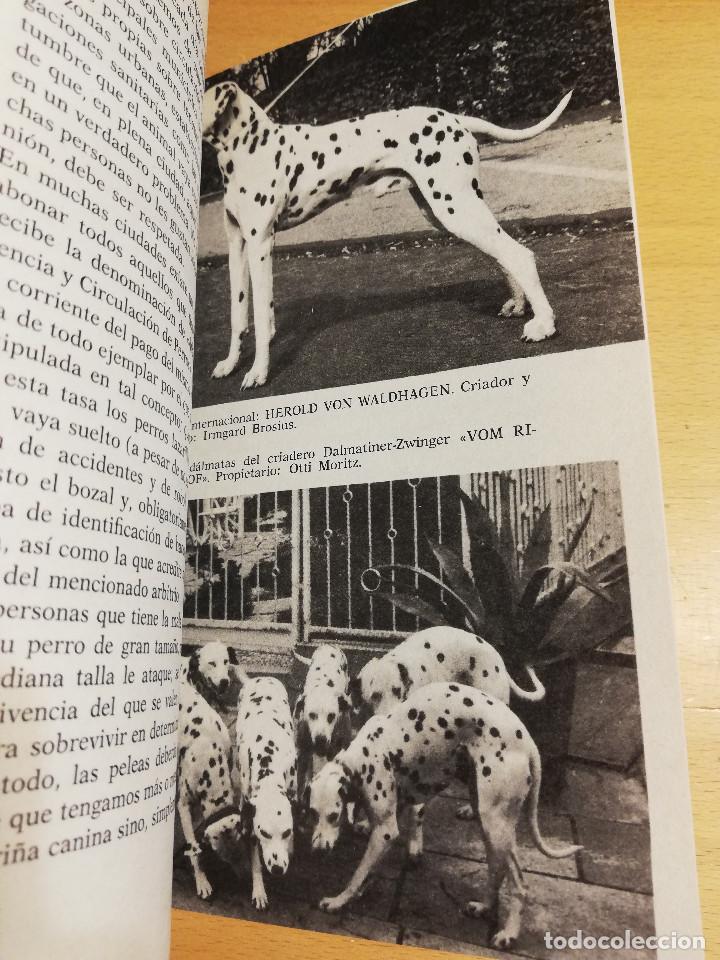 Libros de segunda mano: EL D&Aacute;LMATA (SALVADOR G&Oacute;MEZ TOLDRA) - Foto 7