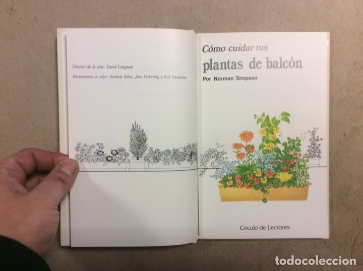Libros de segunda mano: C&Oacute;MO CUIDAR TUS PLANTAS DE BALC&Oacute;N. NORMAN SIMPSON. C&Iacute;RCULO DE LECTORES 1987 - Foto 2