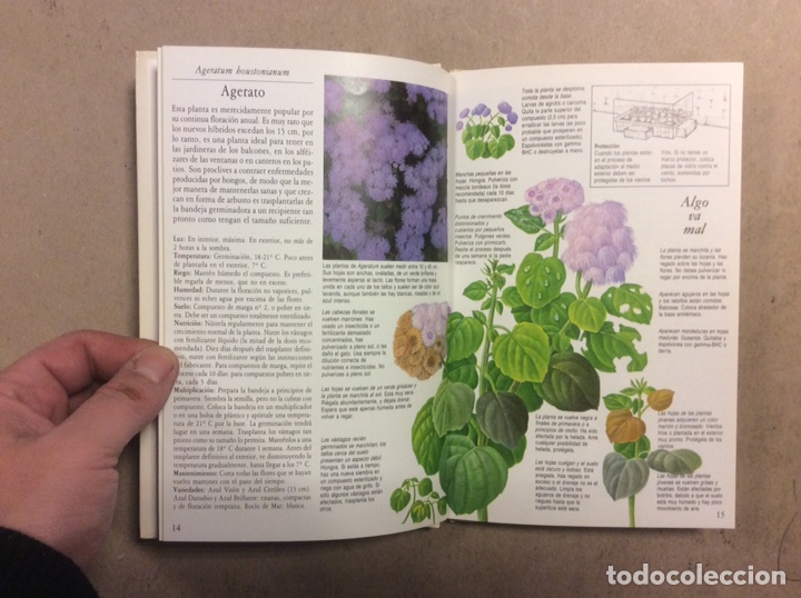 Libros de segunda mano: C&Oacute;MO CUIDAR TUS PLANTAS DE BALC&Oacute;N. NORMAN SIMPSON. C&Iacute;RCULO DE LECTORES 1987 - Foto 3