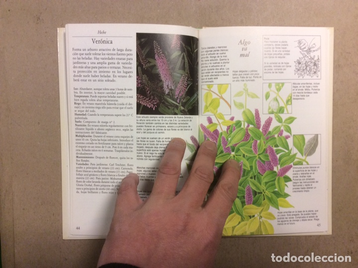Libros de segunda mano: C&Oacute;MO CUIDAR TUS PLANTAS DE BALC&Oacute;N. NORMAN SIMPSON. C&Iacute;RCULO DE LECTORES 1987 - Foto 4