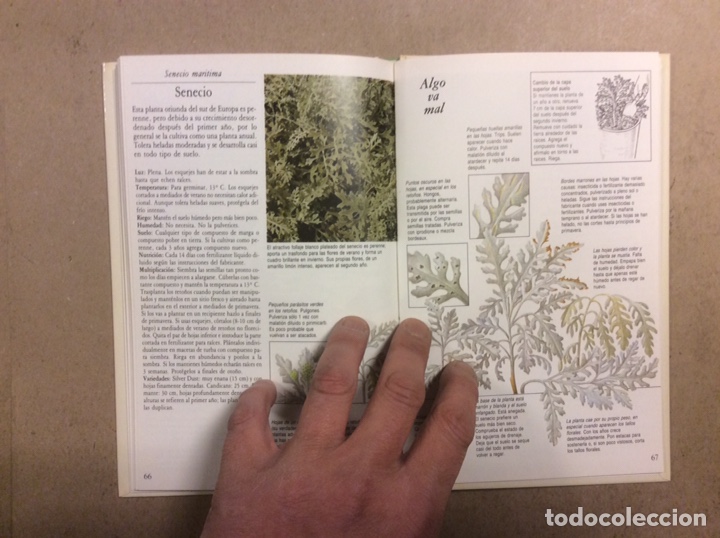 Libros de segunda mano: C&Oacute;MO CUIDAR TUS PLANTAS DE BALC&Oacute;N. NORMAN SIMPSON. C&Iacute;RCULO DE LECTORES 1987 - Foto 5