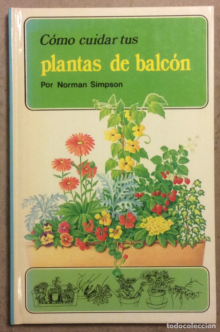 Libros de segunda mano: C&Oacute;MO CUIDAR TUS PLANTAS DE BALC&Oacute;N. NORMAN SIMPSON. C&Iacute;RCULO DE LECTORES 1987 - Foto 1