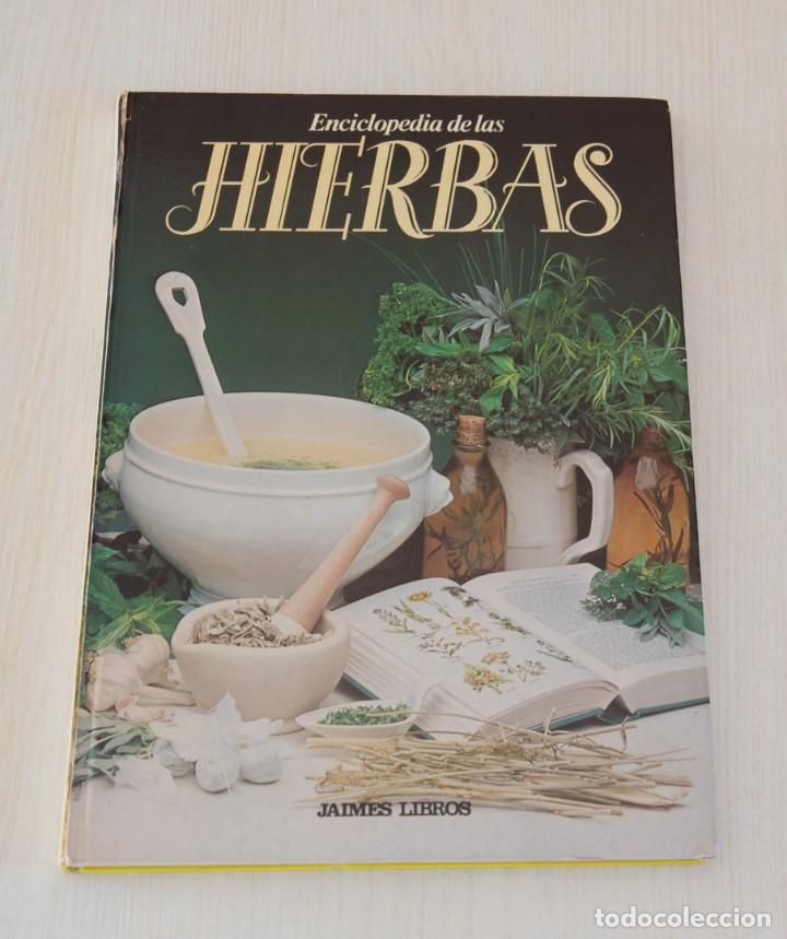 Libros de segunda mano: Enciclopedia de las Hierbas. - Foto 1