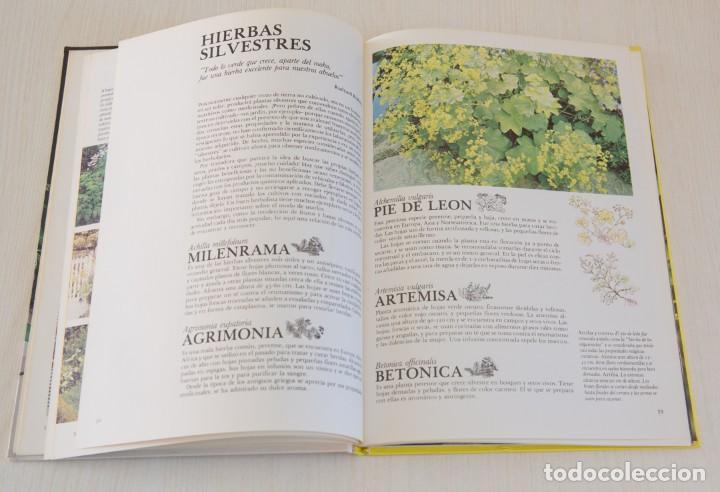 Libros de segunda mano: Enciclopedia de las Hierbas. - Foto 5