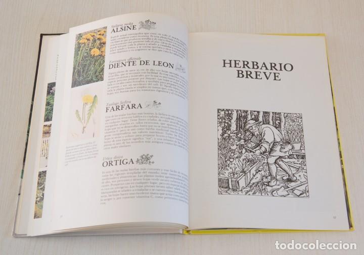 Libros de segunda mano: Enciclopedia de las Hierbas. - Foto 6