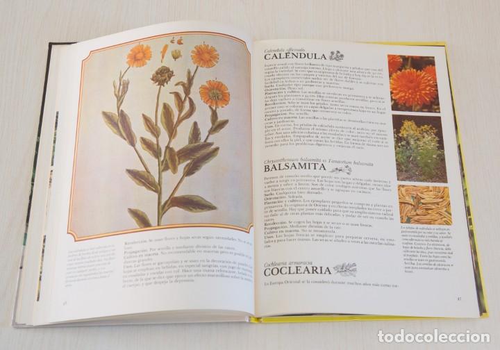 Libros de segunda mano: Enciclopedia de las Hierbas. - Foto 7