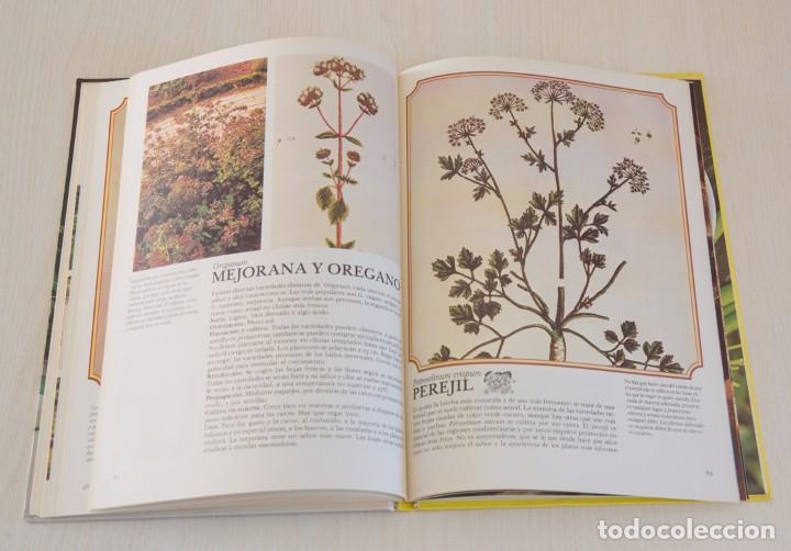 Libros de segunda mano: Enciclopedia de las Hierbas. - Foto 8