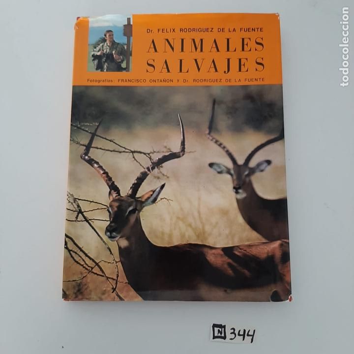 Libros de segunda mano: Animales salvajes - Foto 1