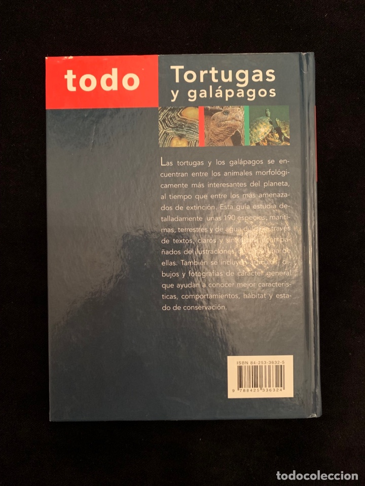 Libros de segunda mano: Tortugas y gal&aacute;pagos de Vicenzo Ferri - Foto 2