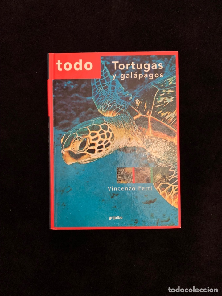 Libros de segunda mano: Tortugas y gal&aacute;pagos de Vicenzo Ferri - Foto 1