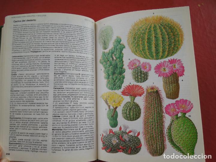 Libros de segunda mano: MANUAL DE PLANTAS DE JARD&Iacute;N - MICHAEL WRIGHT - EDICIONES DEL SERBAL 1986. - Foto 2