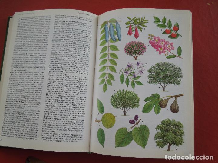 Libros de segunda mano: MANUAL DE PLANTAS DE JARD&Iacute;N - MICHAEL WRIGHT - EDICIONES DEL SERBAL 1986. - Foto 3