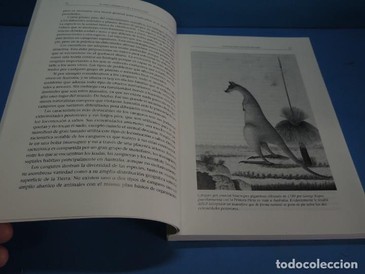 Libros de segunda mano: EL DESCUBRIMIENTO DE LA EVOLUCI&Oacute;N.- DAVID YOUNG - Foto 5