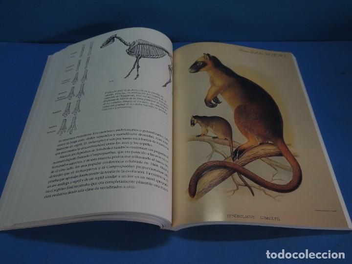 Libros de segunda mano: EL DESCUBRIMIENTO DE LA EVOLUCI&Oacute;N.- DAVID YOUNG - Foto 9