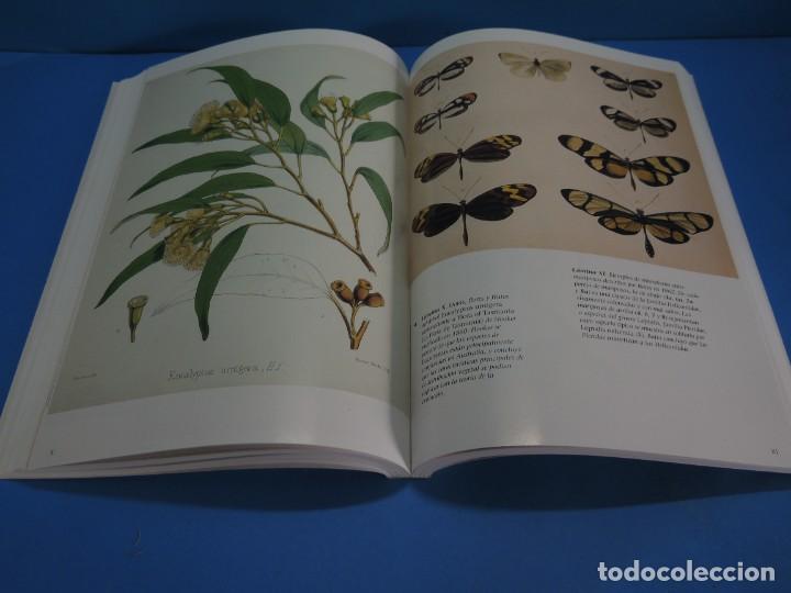 Libros de segunda mano: EL DESCUBRIMIENTO DE LA EVOLUCI&Oacute;N.- DAVID YOUNG - Foto 12