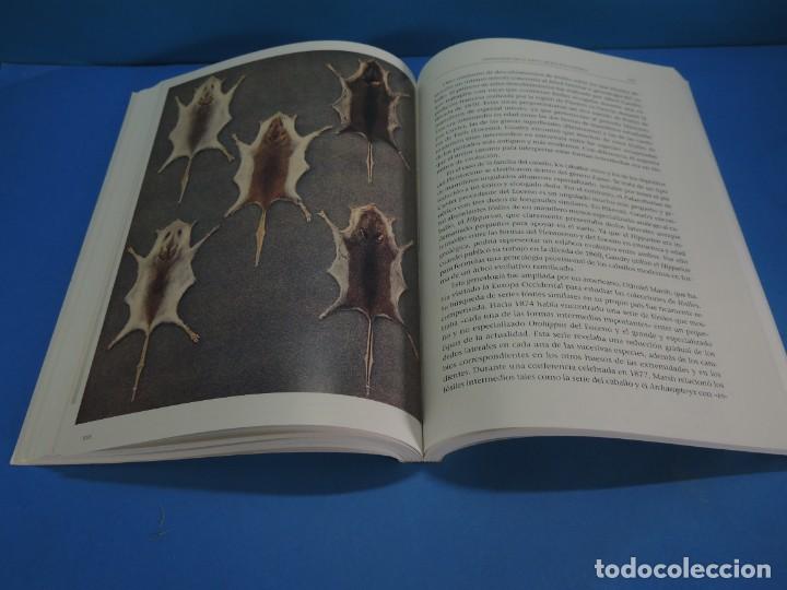 Libros de segunda mano: EL DESCUBRIMIENTO DE LA EVOLUCI&Oacute;N.- DAVID YOUNG - Foto 13