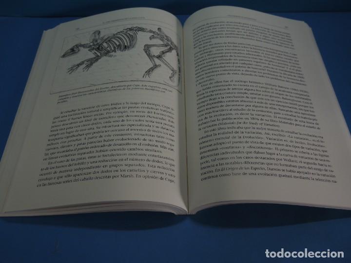 Libros de segunda mano: EL DESCUBRIMIENTO DE LA EVOLUCI&Oacute;N.- DAVID YOUNG - Foto 14