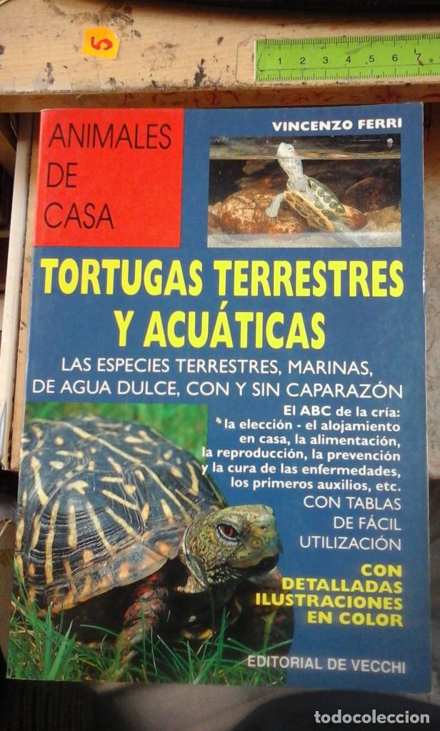 Libros de segunda mano: TORTUGAS TERRESTRES Y ACU&Aacute;TICAS (Barcelona, 1995) - Foto 1