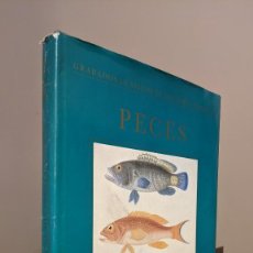 Libros de segunda mano: PECES GRABADOS CLASICOS HISTORIA NATURAL. Lote 328850898