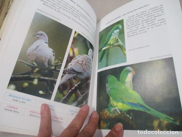 Libros de segunda mano: AVES DO R&Iacute;O GAFOS (Gallego) W12040 - Foto 3