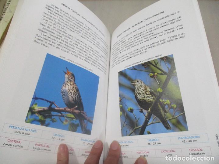 Libros de segunda mano: AVES DO R&Iacute;O GAFOS (Gallego) W12040 - Foto 4