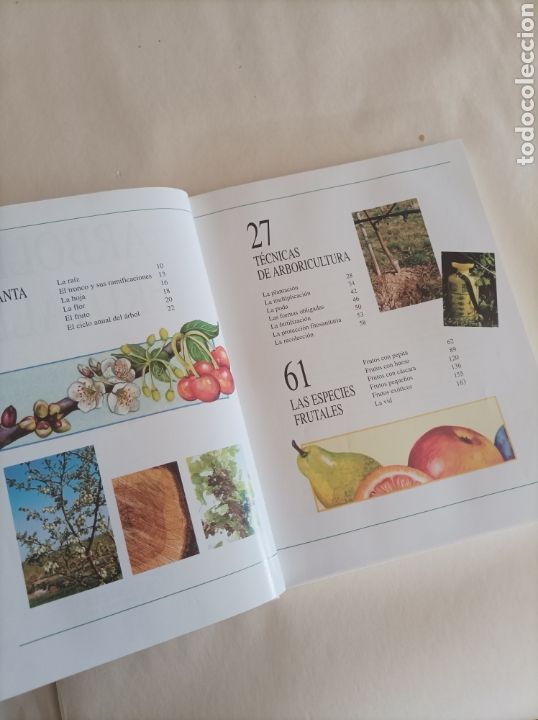 Libros de segunda mano: Gu&iacute;a para el cuidado de &aacute;rboles frutales / Eric Charton - Foto 3