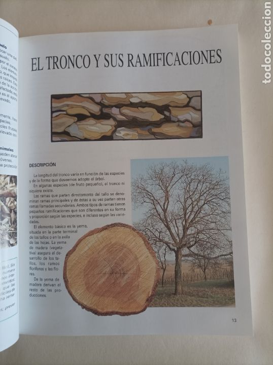 Libros de segunda mano: Gu&iacute;a para el cuidado de &aacute;rboles frutales / Eric Charton - Foto 4