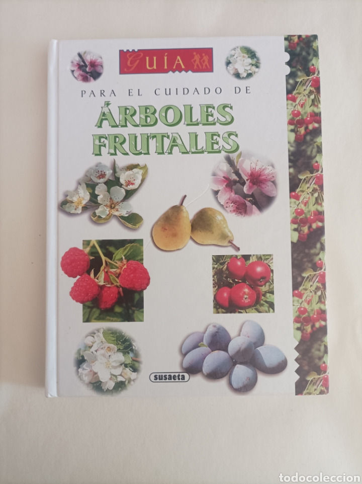 Libros de segunda mano: Gu&iacute;a para el cuidado de &aacute;rboles frutales / Eric Charton - Foto 6