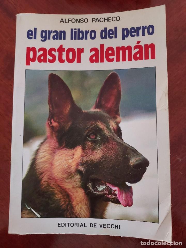 Libros de segunda mano: El gran libro del perro pastor alem&aacute;n de Alfonso Pacheco - Foto 1