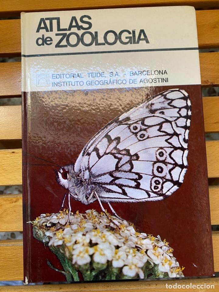 Libros de segunda mano: ATLAS DE ZOOLOG&Iacute;A - Foto 1