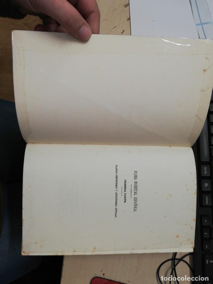 Libros de segunda mano: FLORA FORESTAL ESPA&Ntilde;OLA. M&Aacute;XIMO LAGUNA. FACS&Iacute;MIL. XUNTA DE GALICIA, 1993. - Foto 2