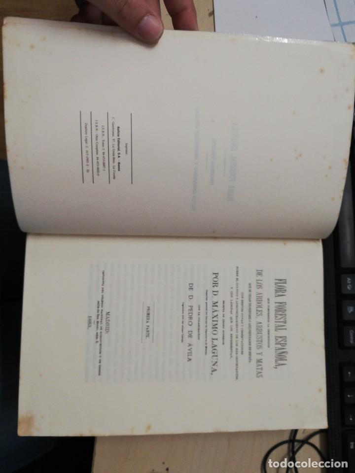 Libros de segunda mano: FLORA FORESTAL ESPA&Ntilde;OLA. M&Aacute;XIMO LAGUNA. FACS&Iacute;MIL. XUNTA DE GALICIA, 1993. - Foto 3