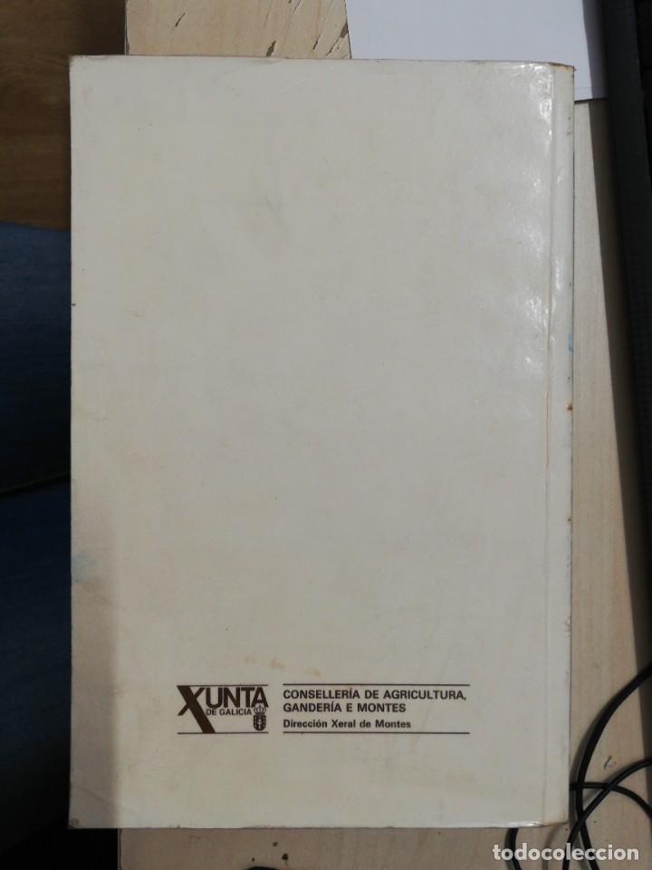 Libros de segunda mano: FLORA FORESTAL ESPA&Ntilde;OLA. M&Aacute;XIMO LAGUNA. FACS&Iacute;MIL. XUNTA DE GALICIA, 1993. - Foto 4