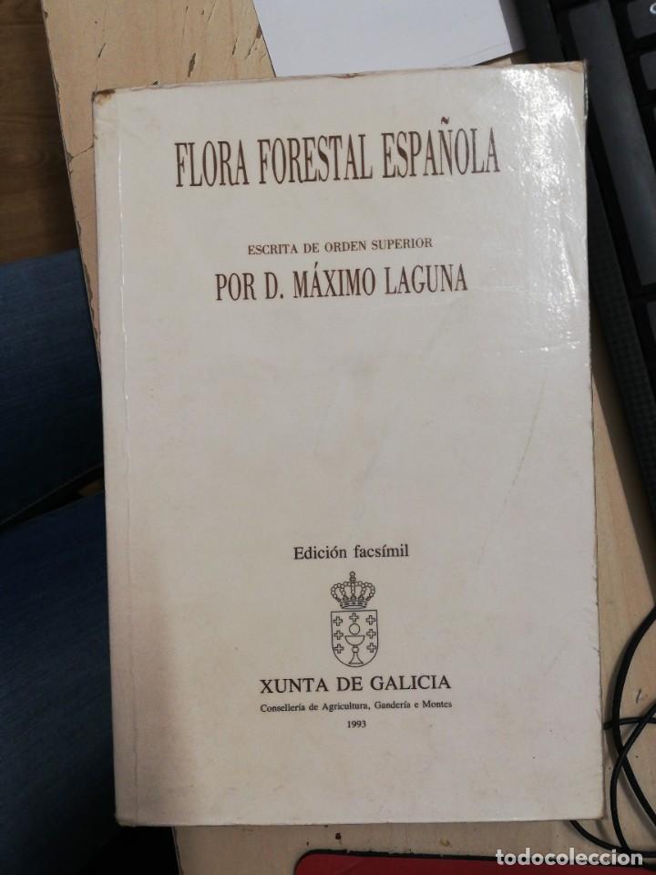 Libros de segunda mano: FLORA FORESTAL ESPA&Ntilde;OLA. M&Aacute;XIMO LAGUNA. FACS&Iacute;MIL. XUNTA DE GALICIA, 1993. - Foto 1
