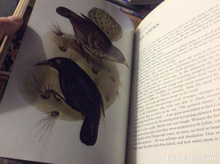 Libros de segunda mano: Darwin and the Beagle Alan Moorehead 1969 muy ilustrado - Foto 2