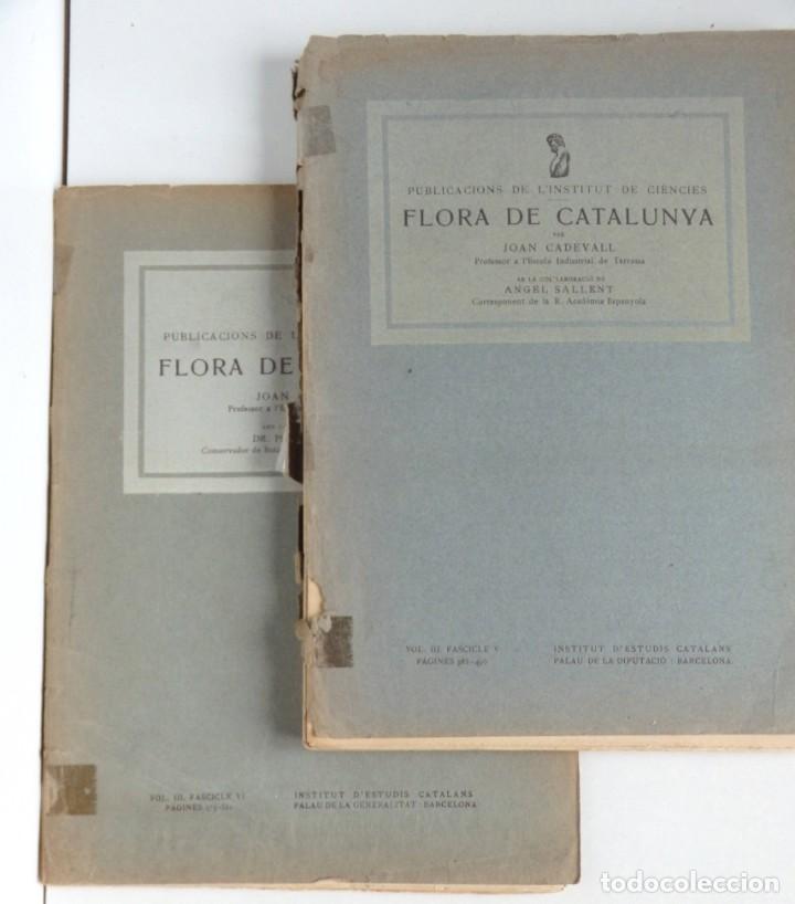 Libros de segunda mano: Joan CADEVALL, Flora de Catalunya - Foto 1