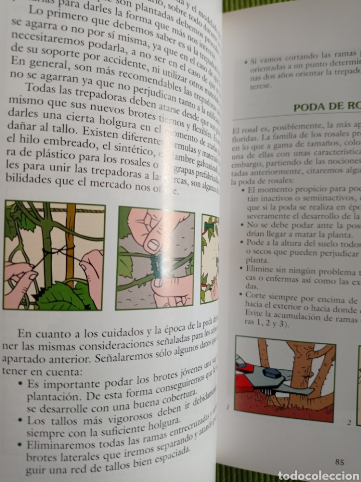 Libros de segunda mano: Jardiner&iacute;a dom&eacute;stica - Foto 4